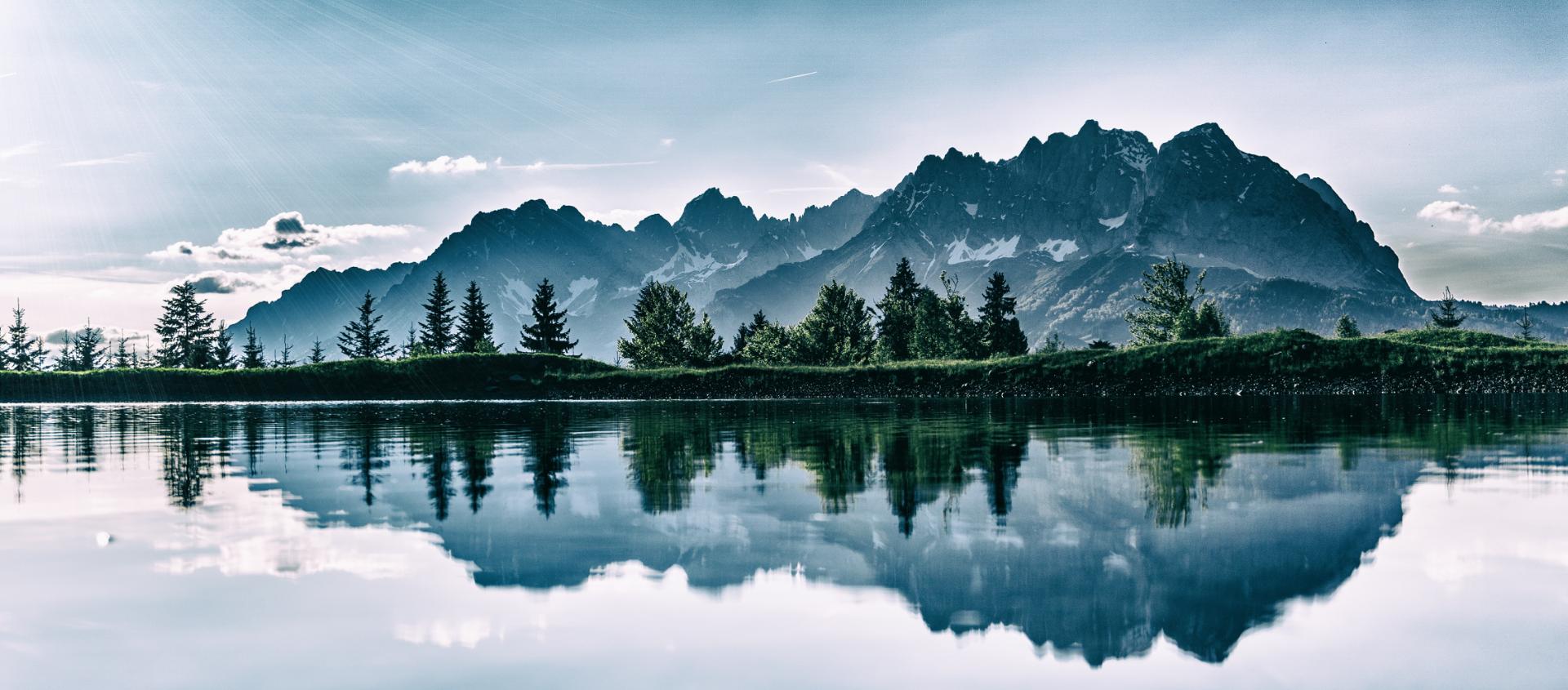 #nivo1 Untitled Header Image